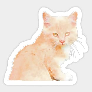 Butterscotch Kitten Sticker